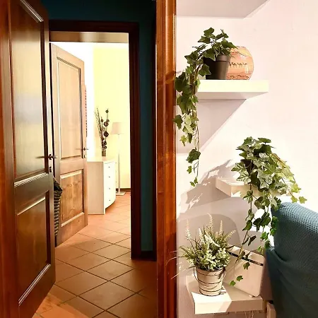 Del Vicolo Modena